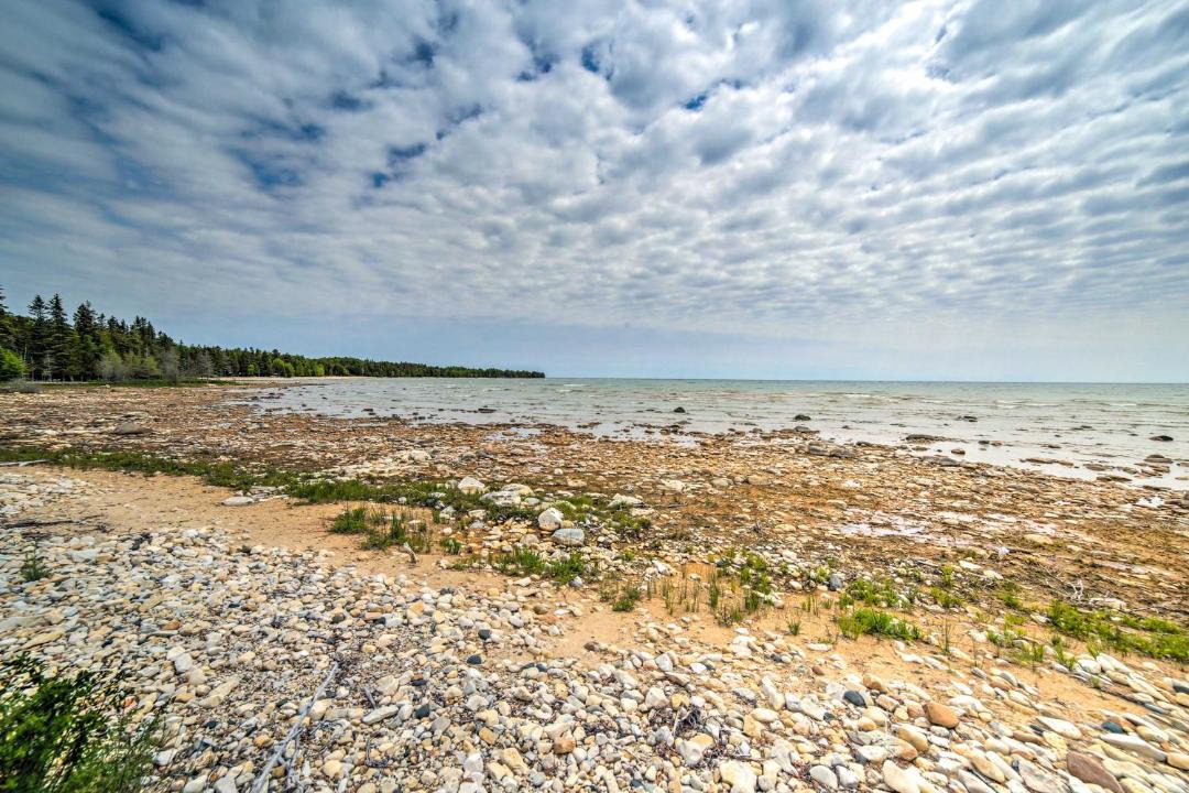 Photo of Human In Picture in Manistique