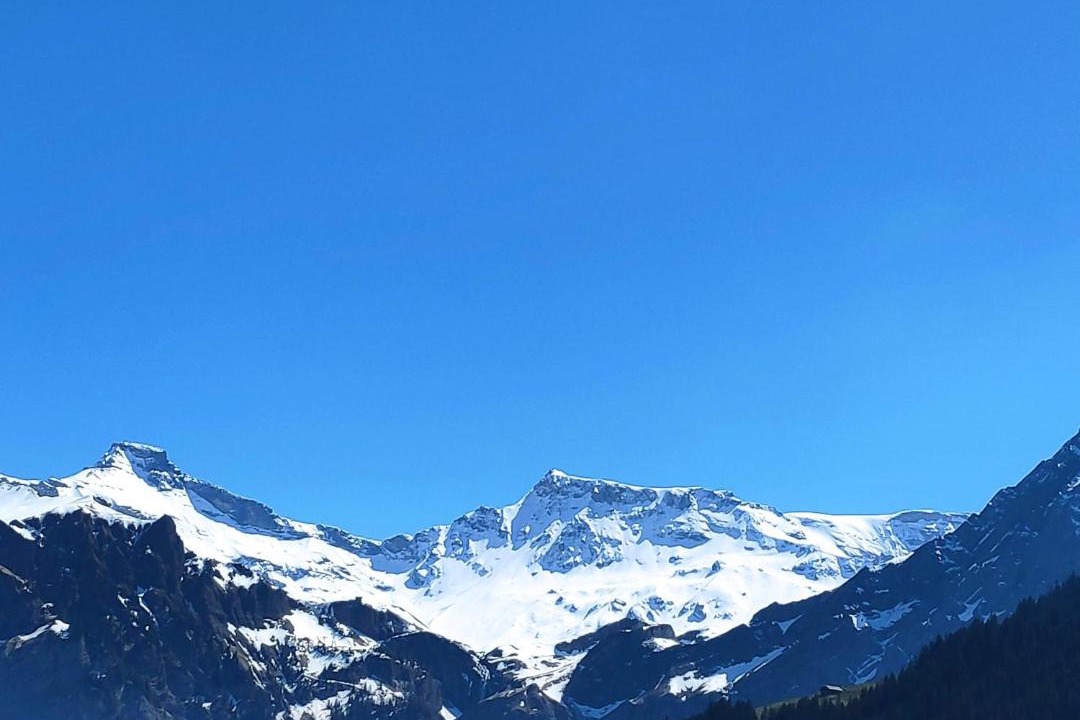 Photo of Others in Adelboden