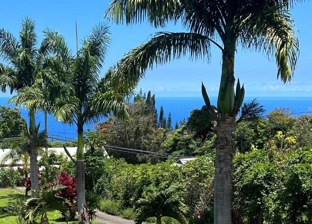 Photo of Others in Honalo