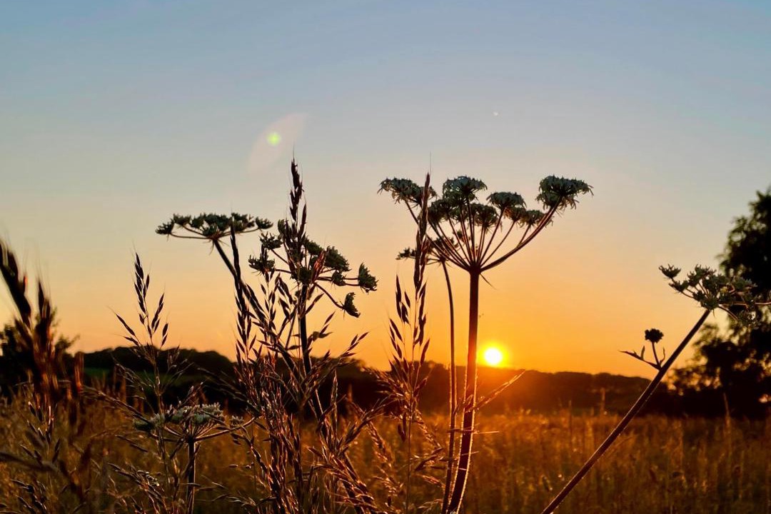 Photo of Others in Newport