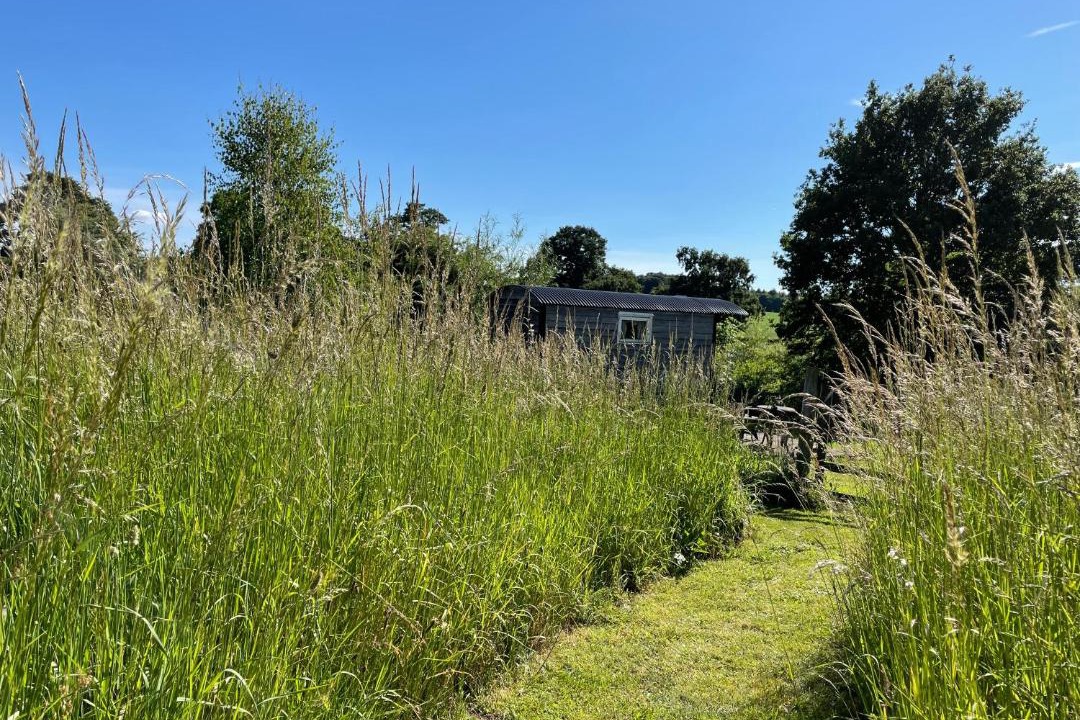 Photo of Others in Newport