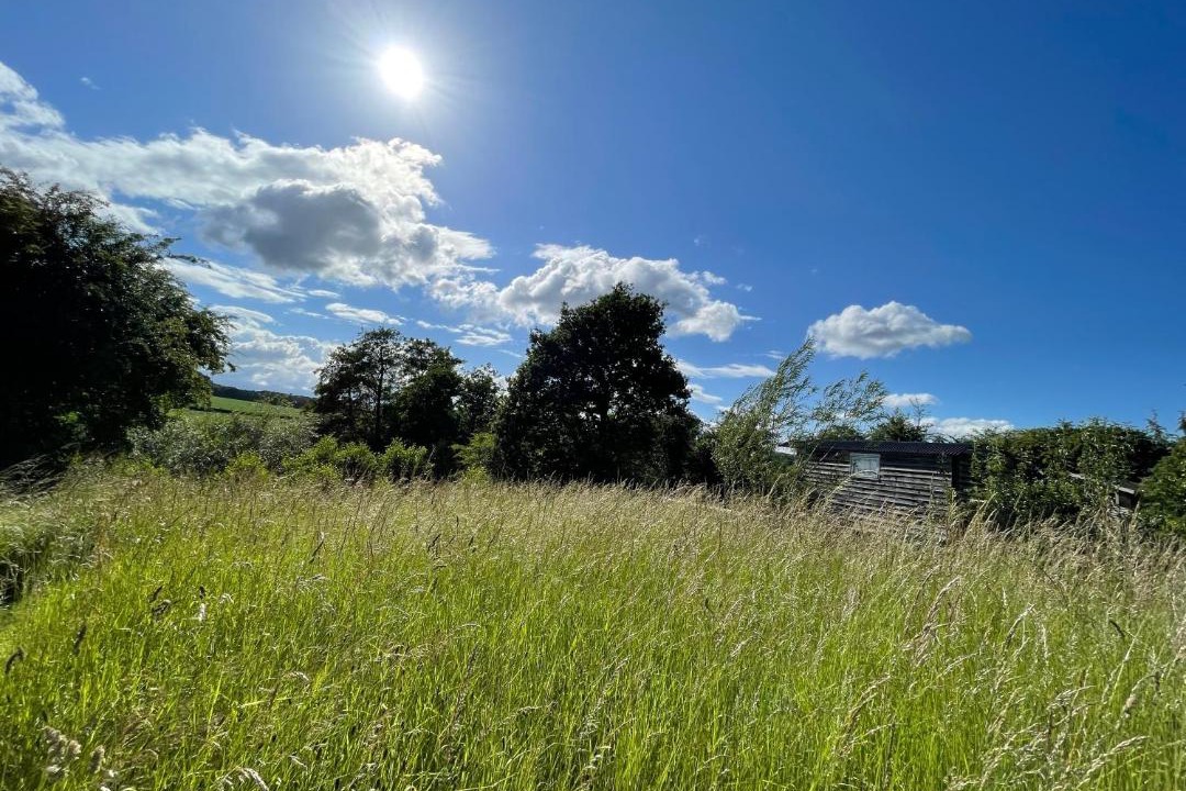 Photo of Others in Newport