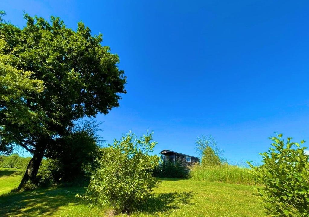 Photo of Others in Newport