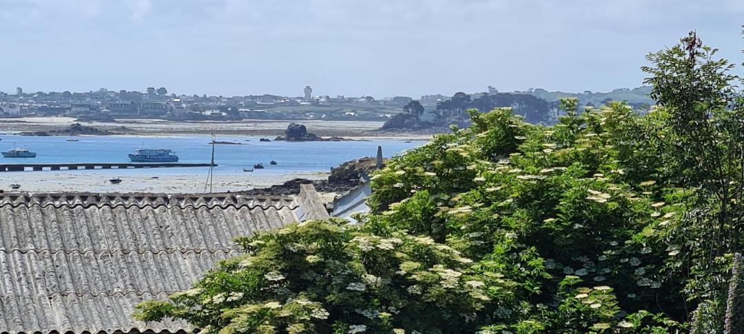 Photo of Others in Ile-de-Batz