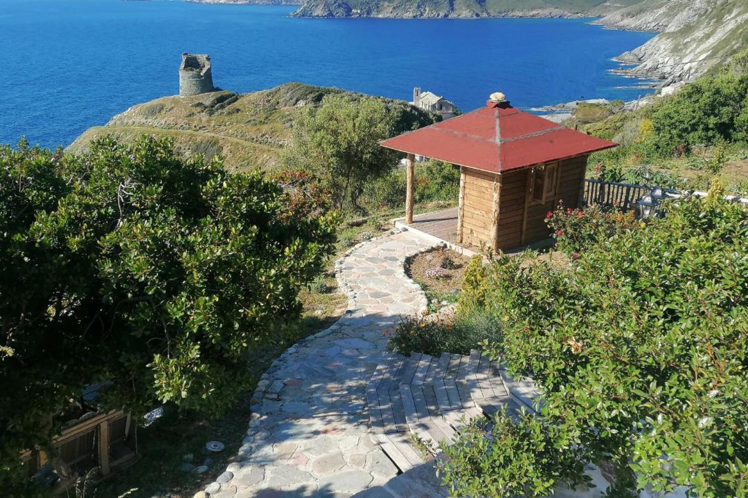 Photo of Others in Pino