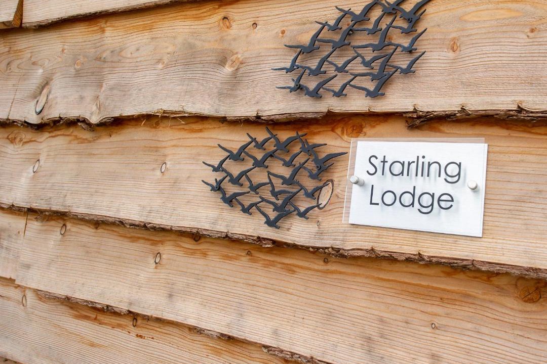 Photo of Others in Wedmore