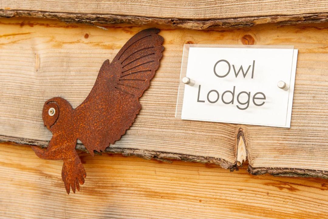 Photo of Others in Wedmore