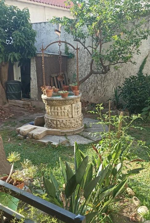 Photo of Others in Les Platanes