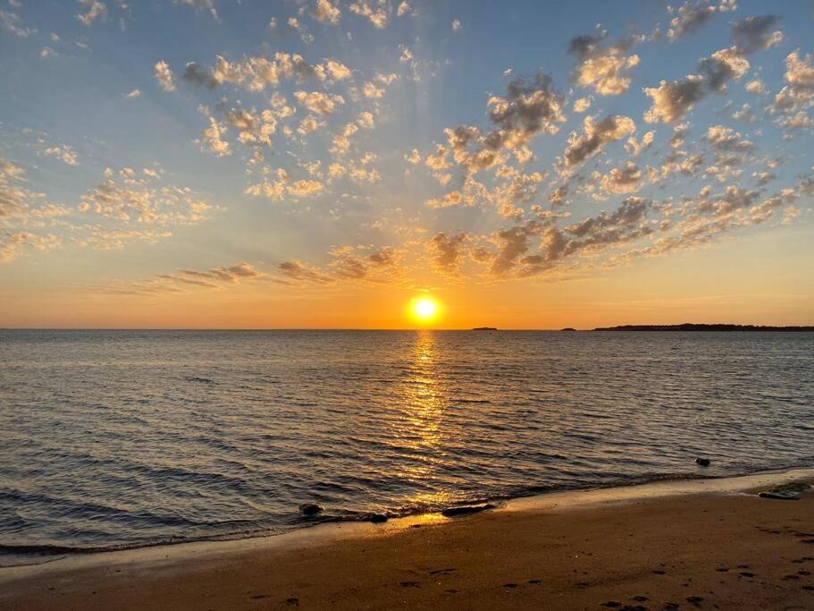 Photo of Others in Ferel