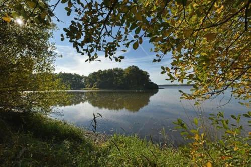 Photo of Outdoor in Lepaud