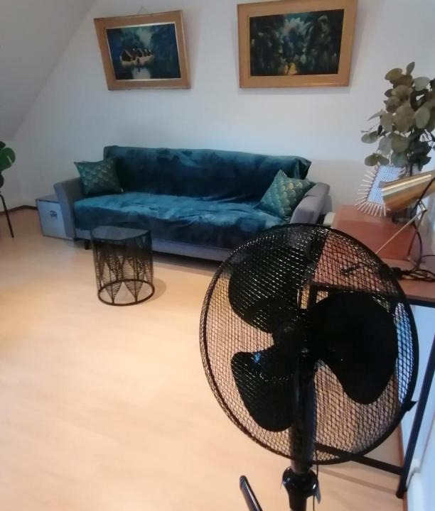 Photo of Others in Schiltigheim