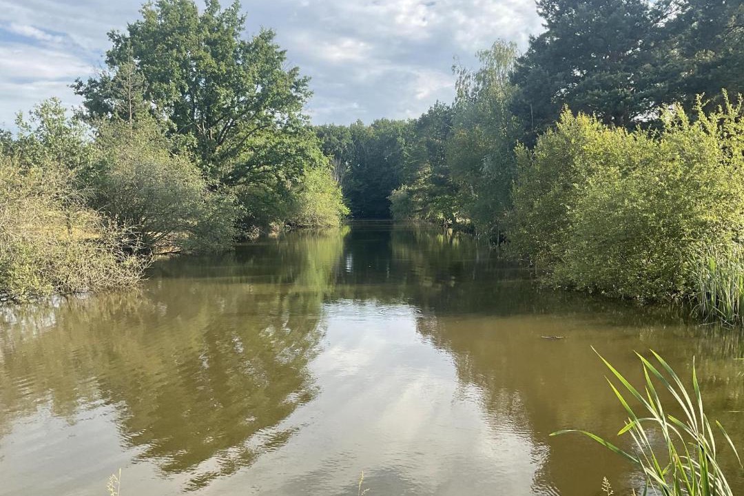 Photo of Others in Loriges