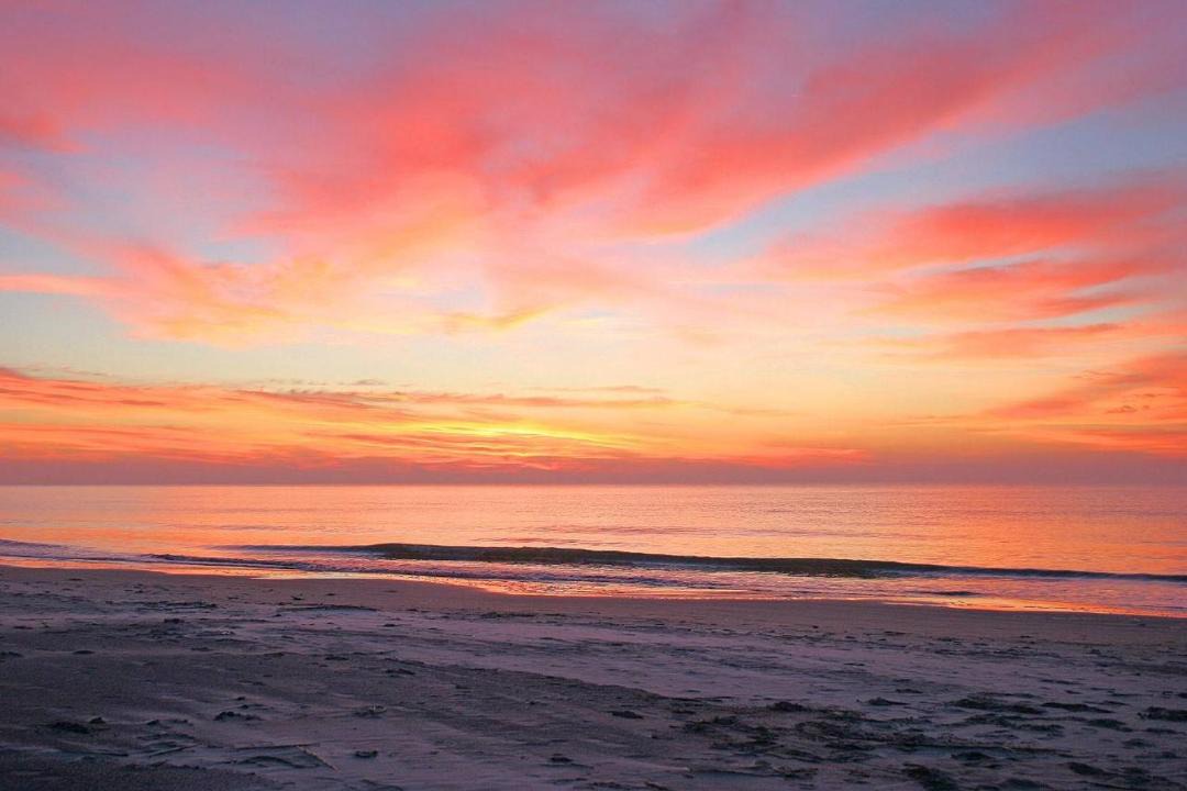 Photo of Others in Palmetto Dunes