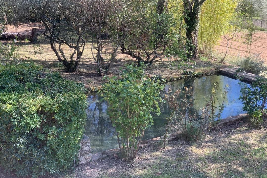 Photo of Outdoor in Villecroze