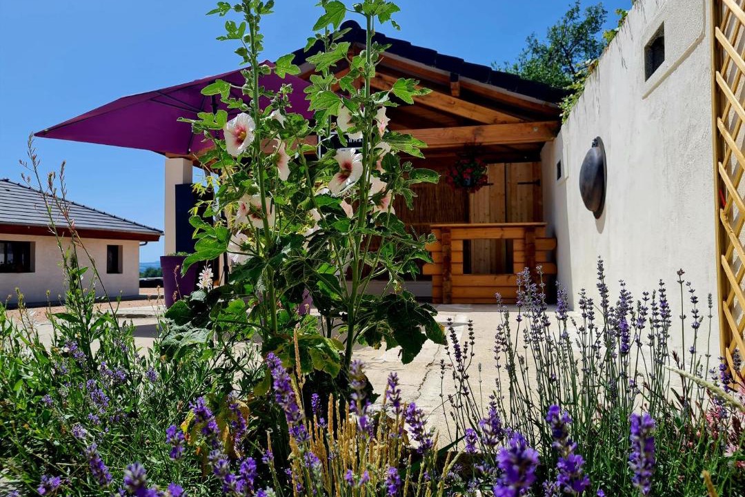 Photo of Others in Servant