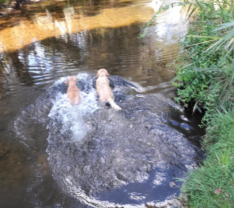 Photo of Others in Freeburgh