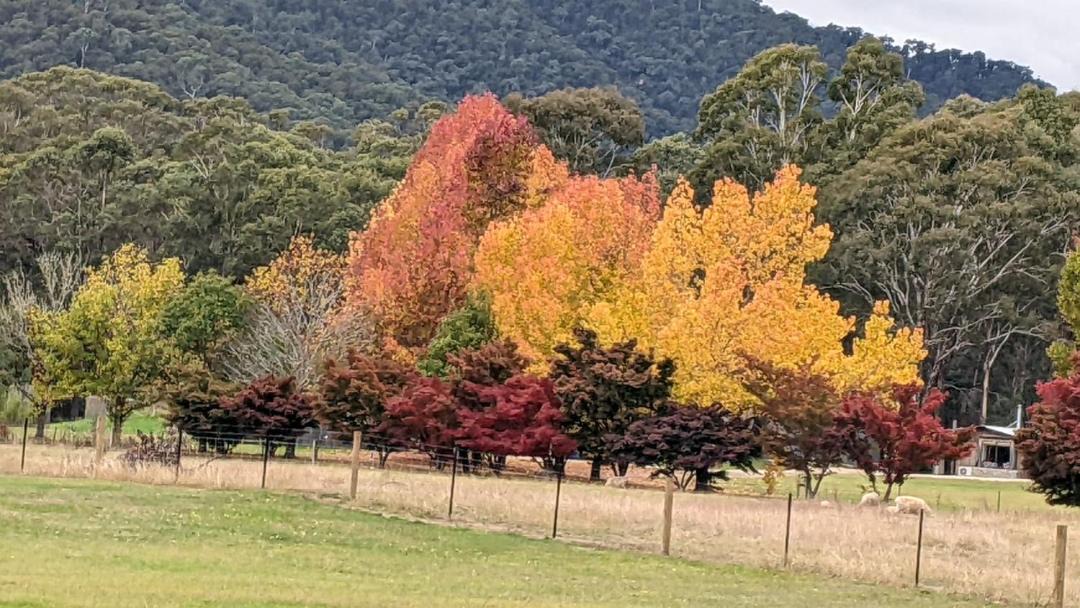 Photo of Others in Freeburgh