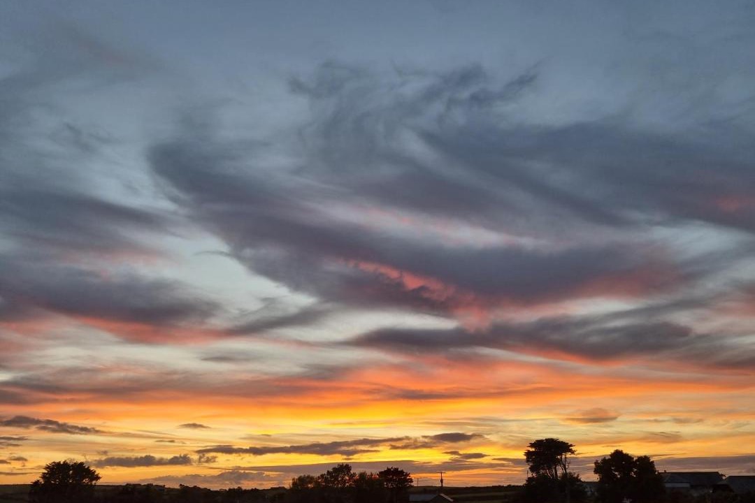 Photo of Others in Port Isaac