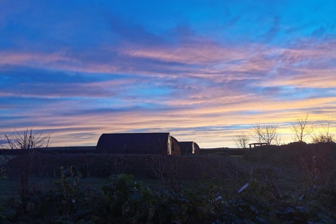 Photo of Others in Port Isaac