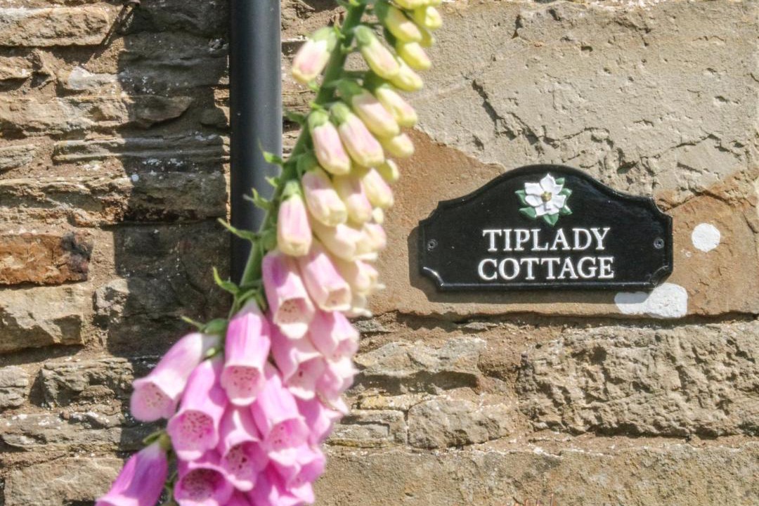 Photo of Others in Bainbridge