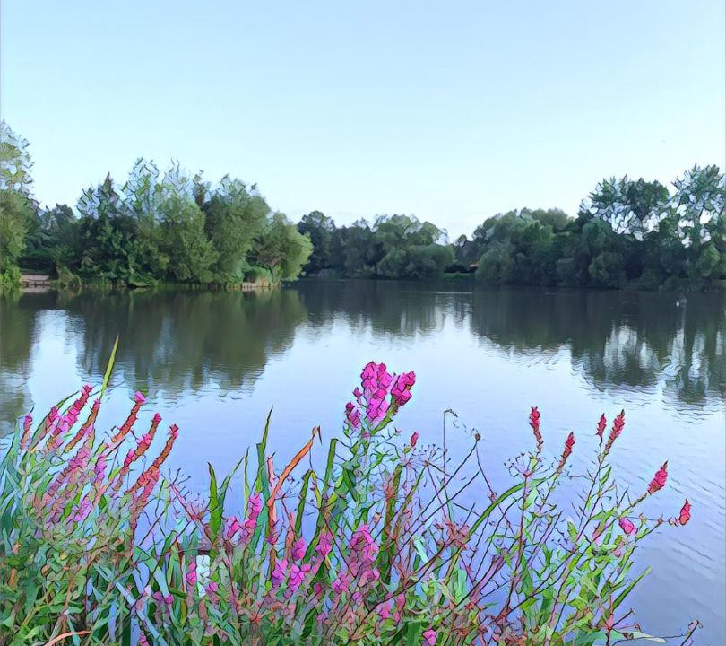 Photo of Others in Woking