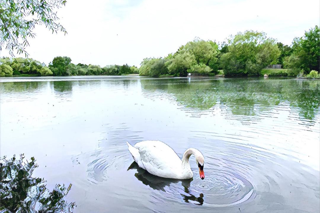 Photo of Others in Woking