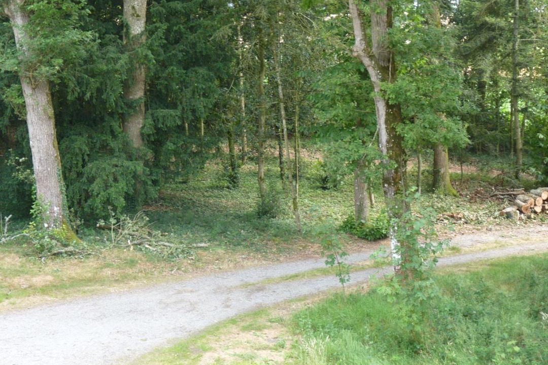 Photo of Others in Comblessac