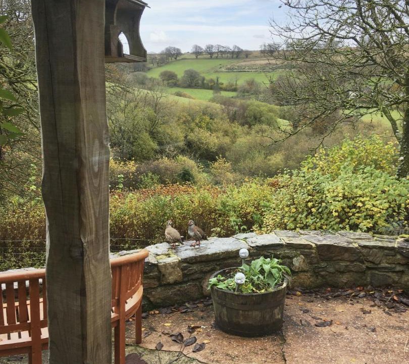 Photo of Others in Liscombe