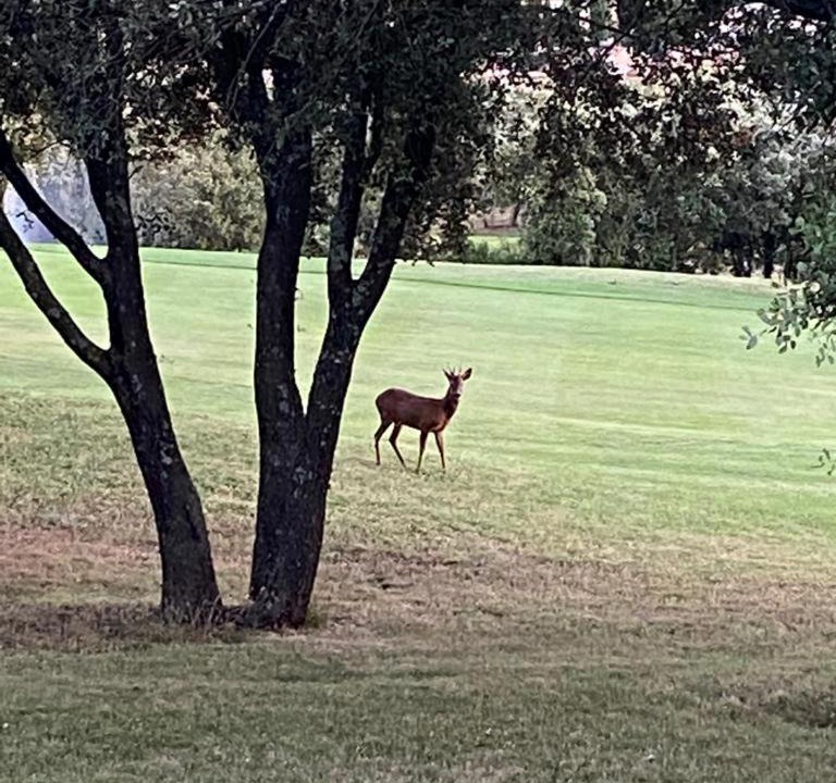 Photo of Others in Garrigues