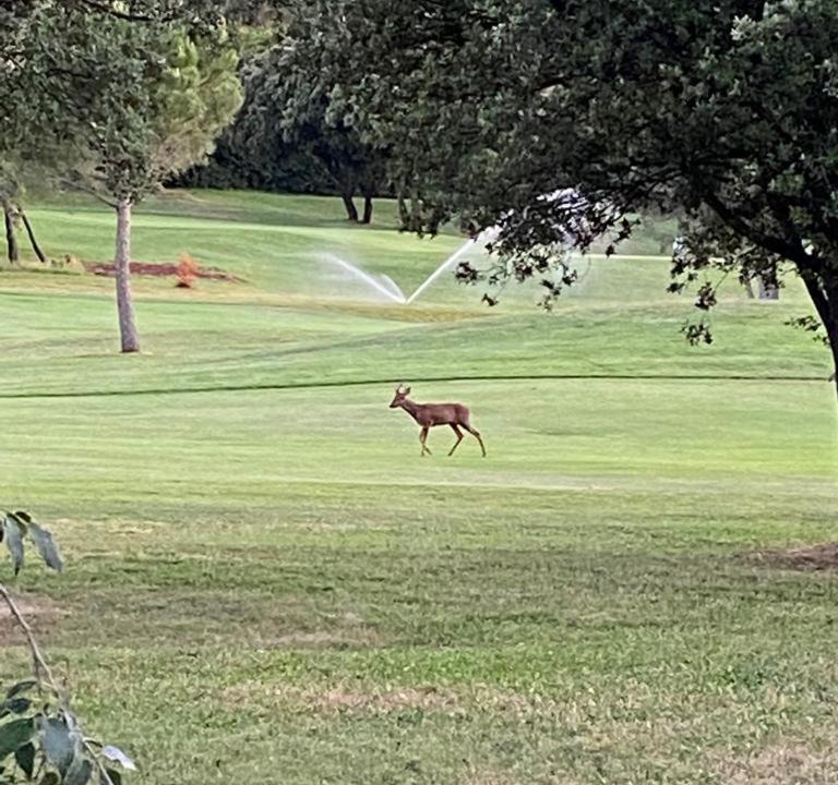 Photo of Others in Garrigues