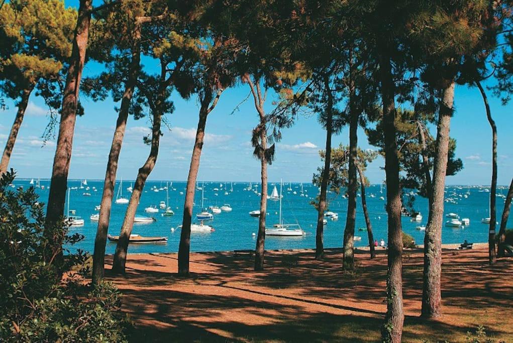 Photo of Outdoor in Le Porge