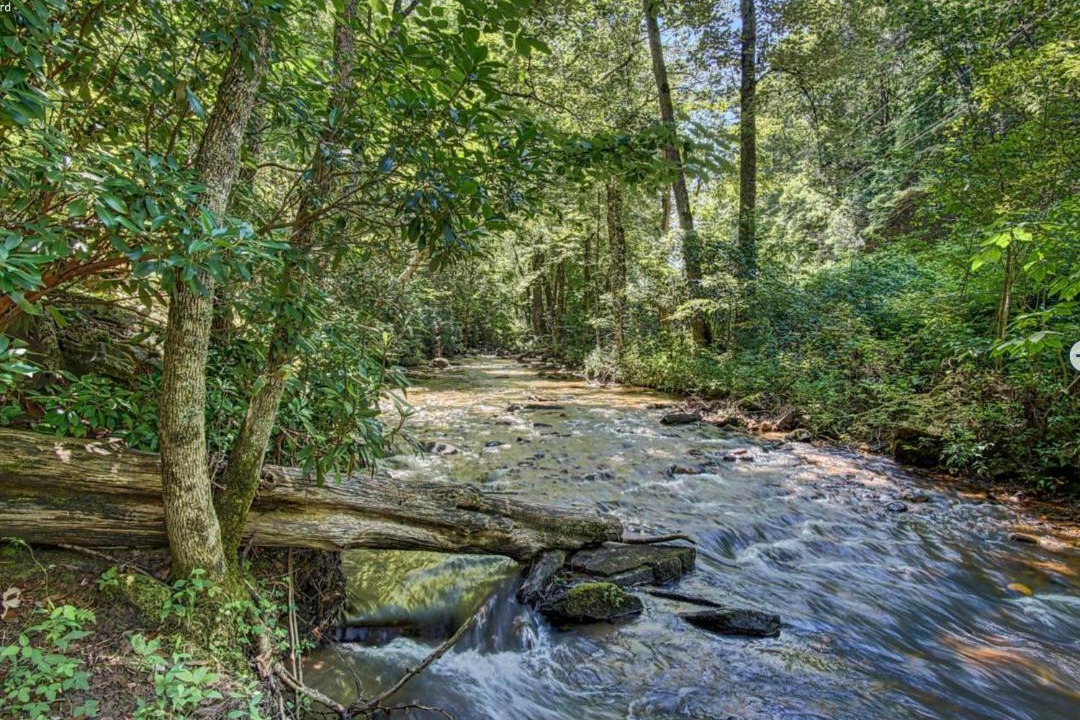 Photo of Others in Hiawassee