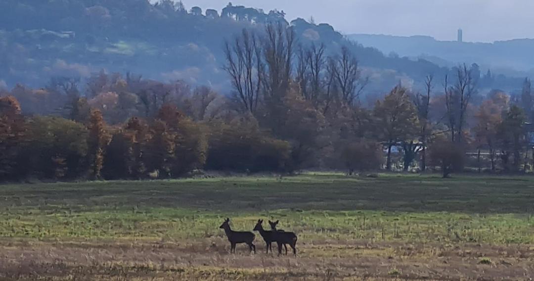 Photo of Outdoor in Saint-Sylvestre-sur-Lot