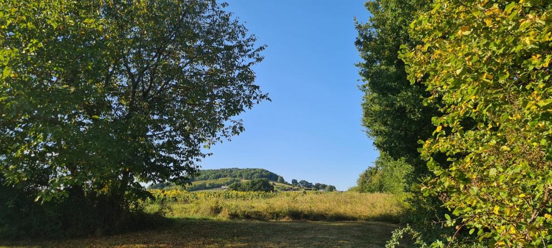 Photo of Others in Saint-Sylvestre-sur-Lot