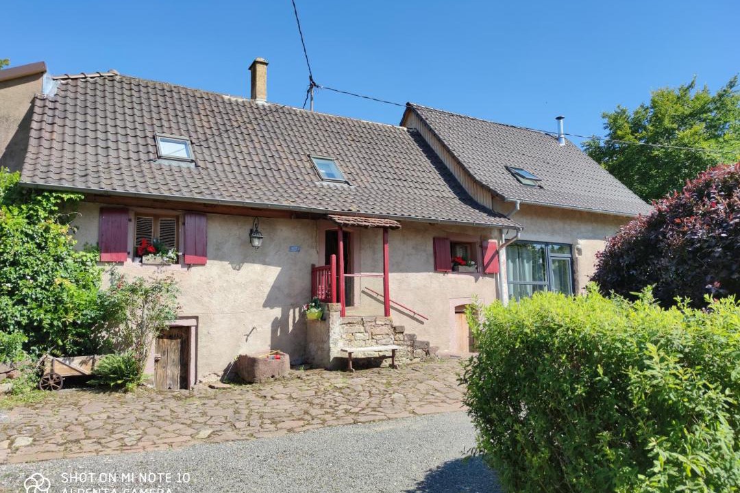 Photo of Others in Birkenwald