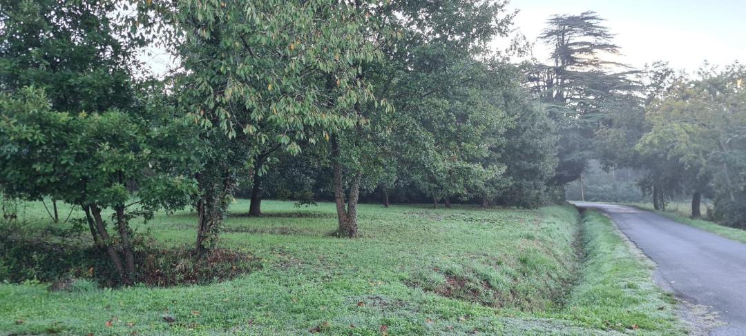 Photo of Outdoor in Saint-Sylvestre-sur-Lot