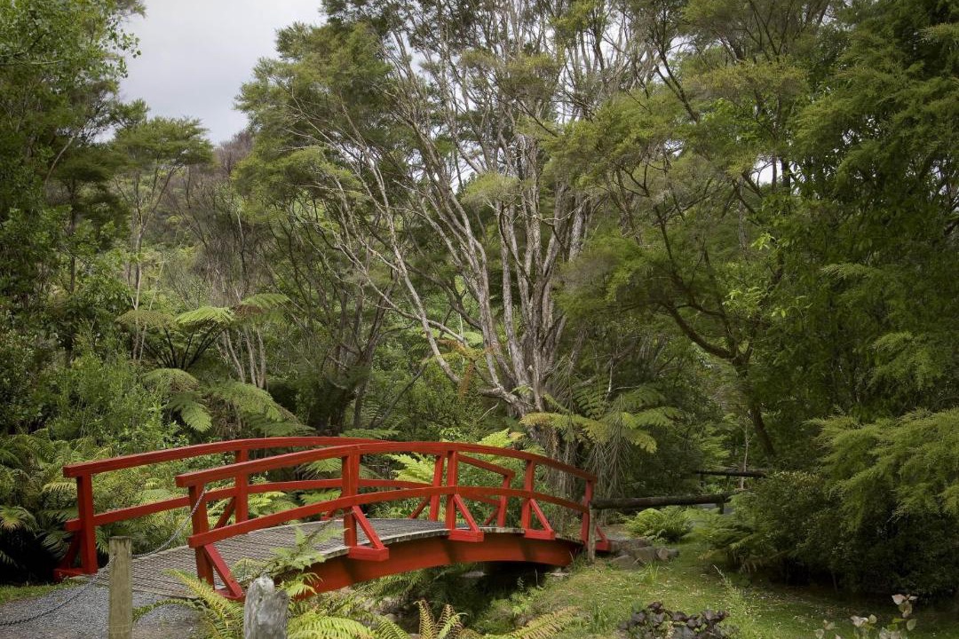 Photo of Others in Tapu