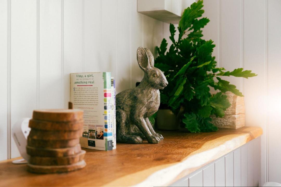 Photo of Others in Exmoor National Park