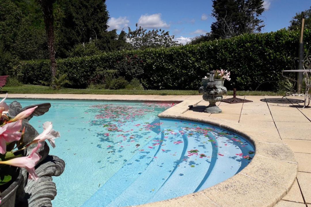 Photo of Others in Mont