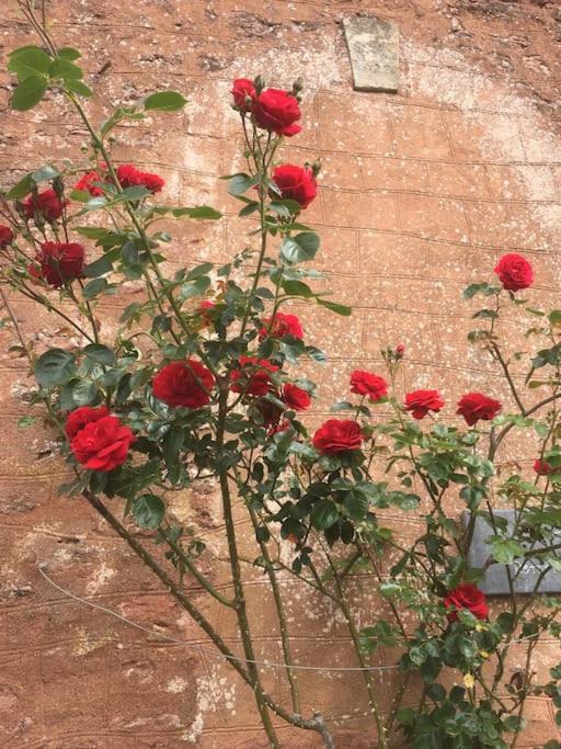 Photo of Others in Saint Blazey