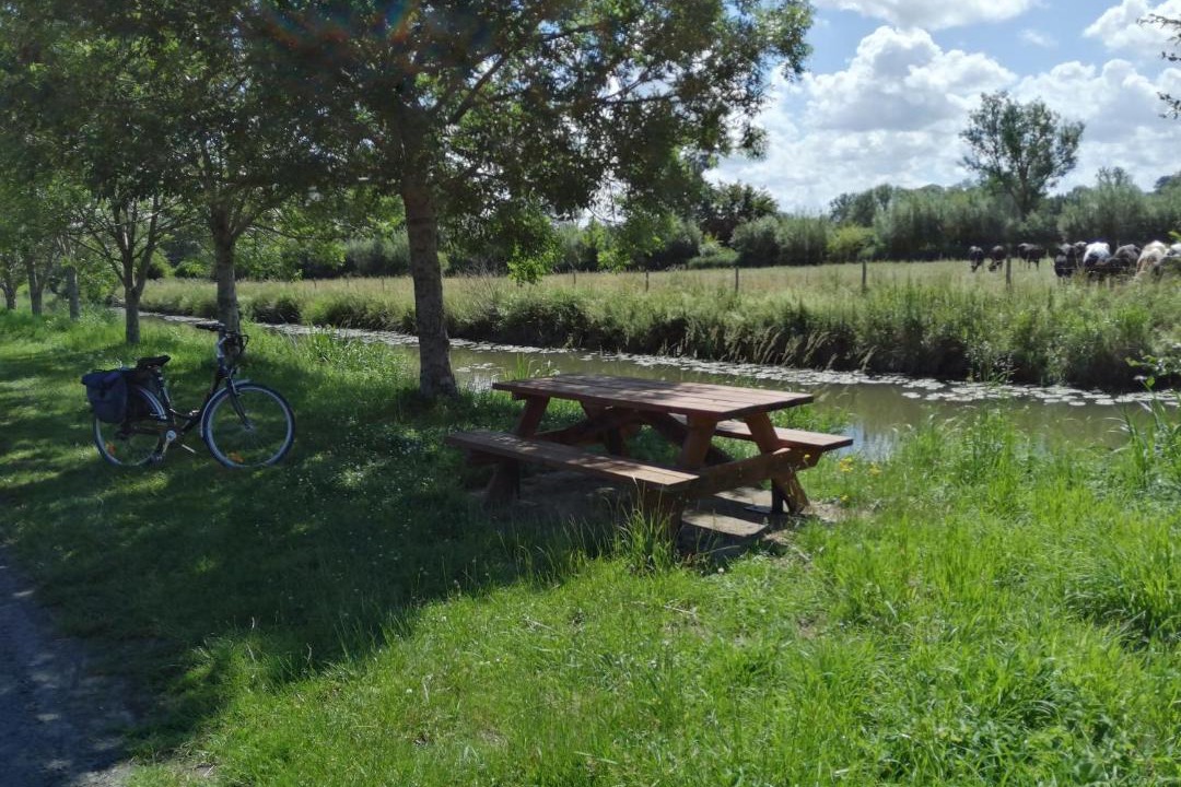 Photo of Others in Saint-Hilaire-sur-Helpe