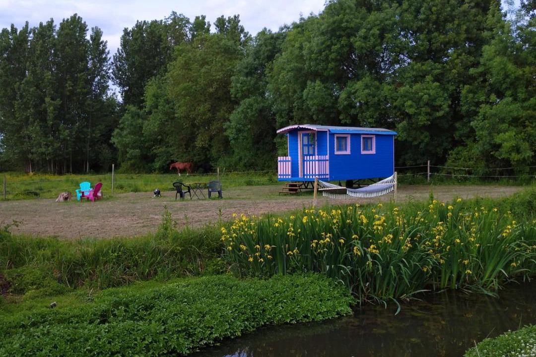 Photo of Others in Le Vieil-Bauge