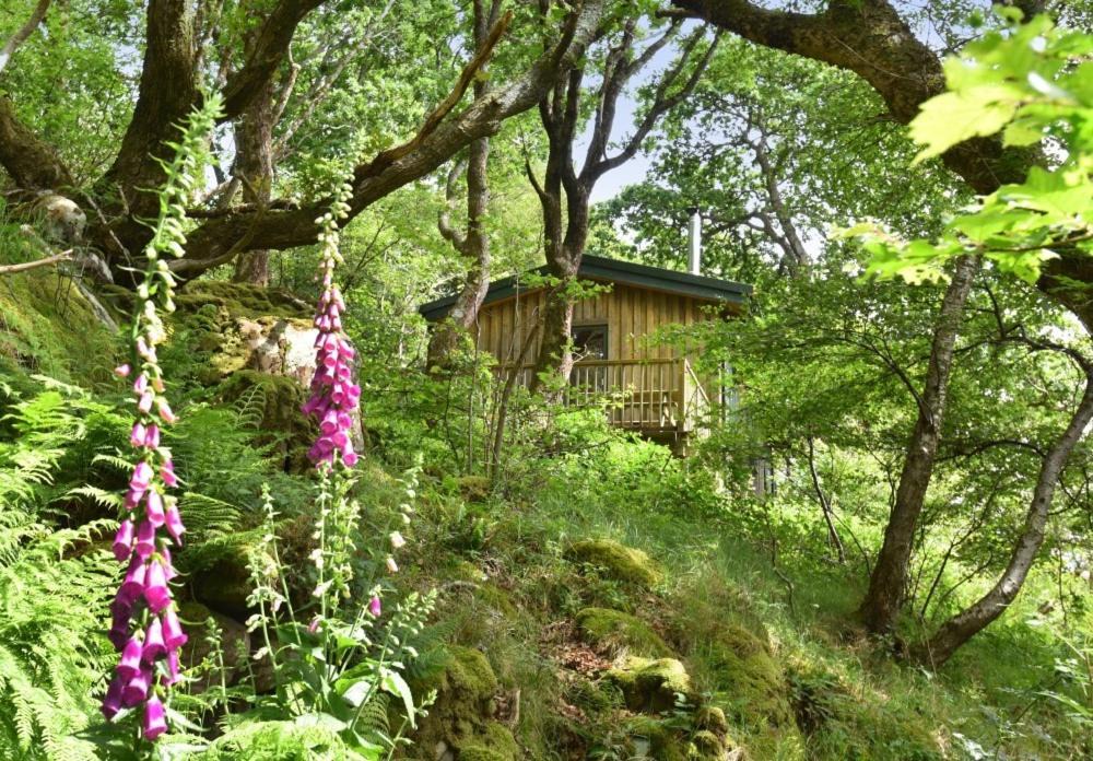 Photo of Others in Diabaig