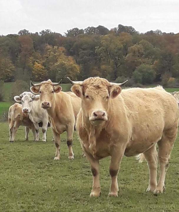 Photo of Others in Claudon