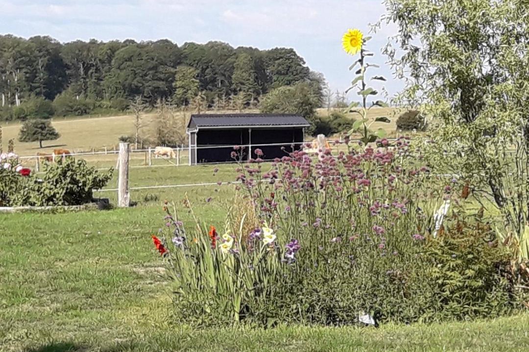 Photo of Others in Claudon