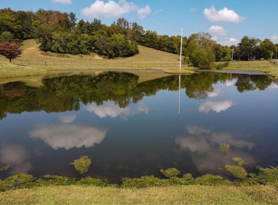 Photo of Others in Belfast