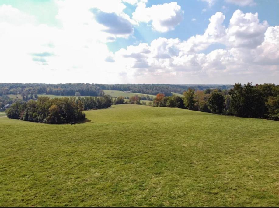 Photo of Others in Belfast