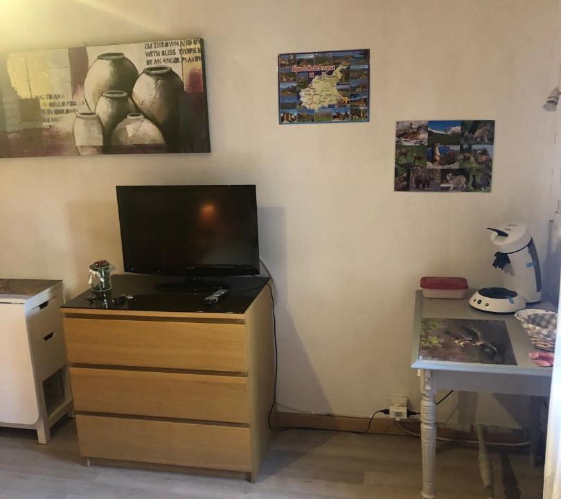 Photo of Livingroom in Barcelonnette