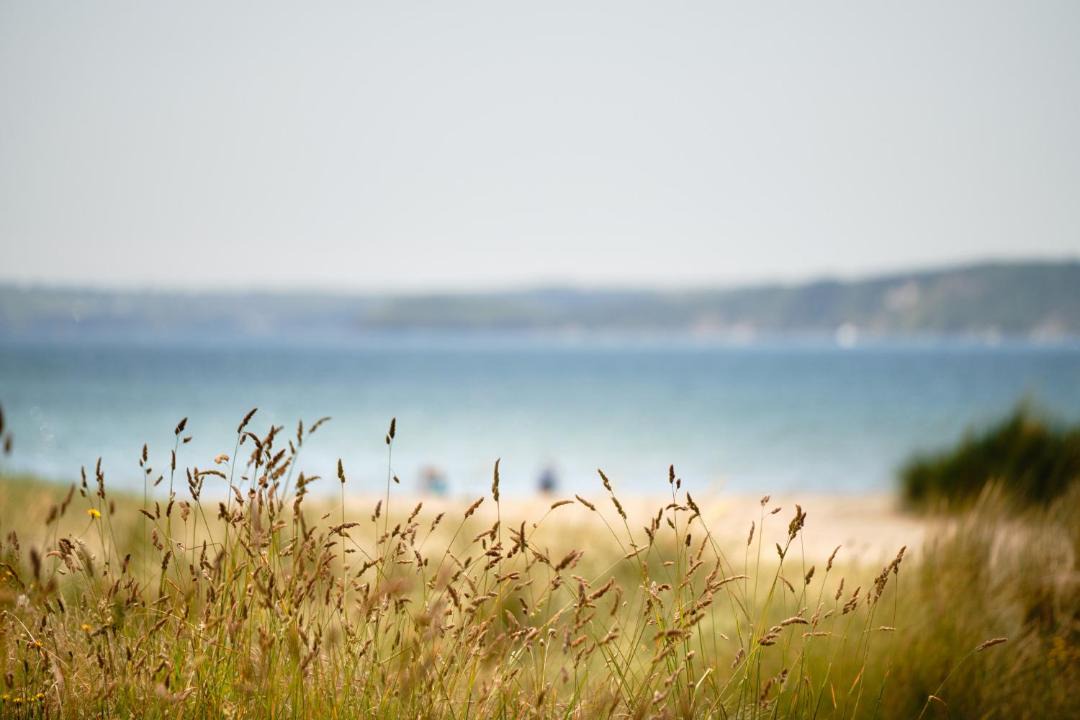 Photo of Others in Tywardreath