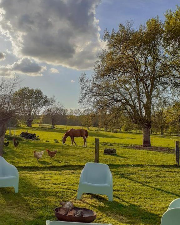 Photo of Others in Denee